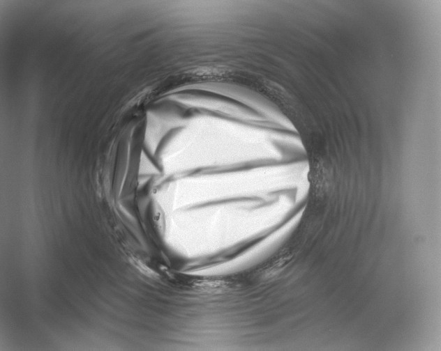 X0000052930428200508050834