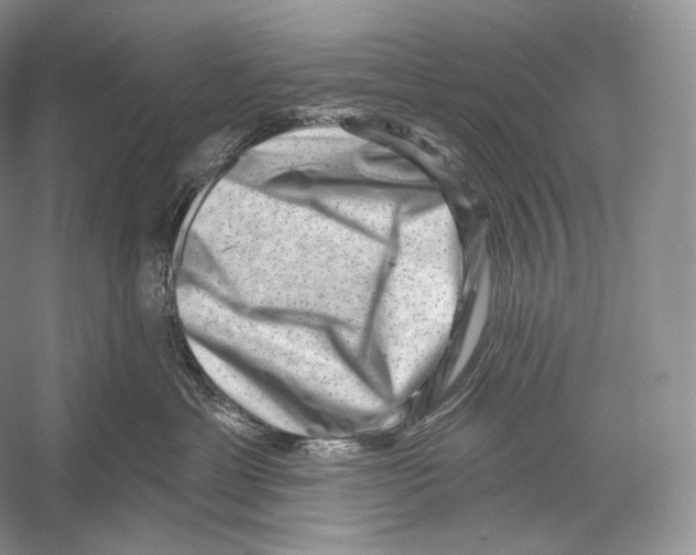 X0000052930429200508050834