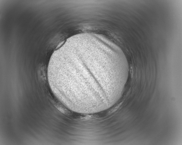 X0000052930430200508050834