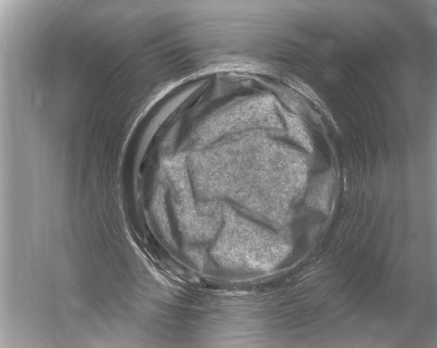 X0000052930436200508050833