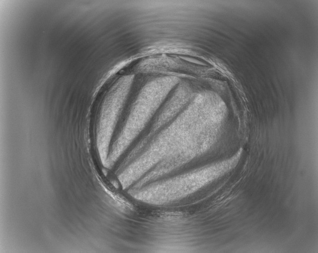 X0000052930438200508050833