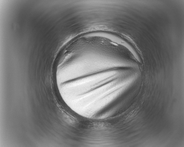 X0000052930439200508050833