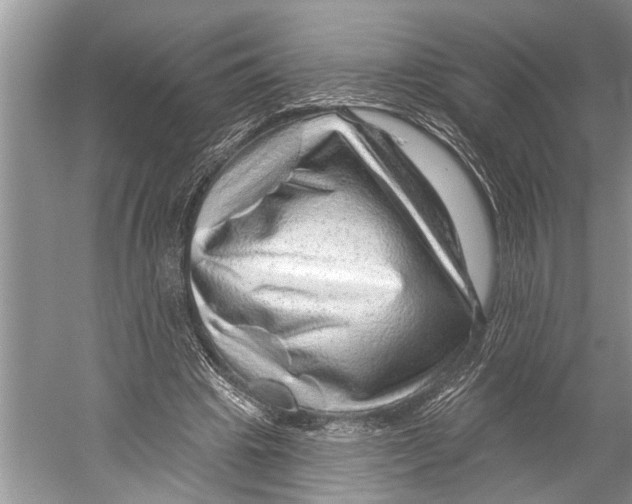 X0000052930441200508050834