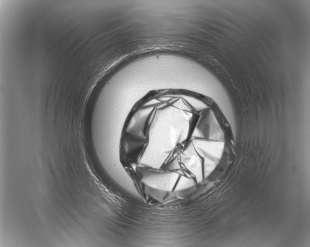 X0000052930444200508050834