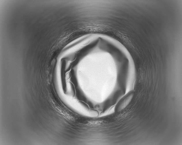 X0000052930450200508050834