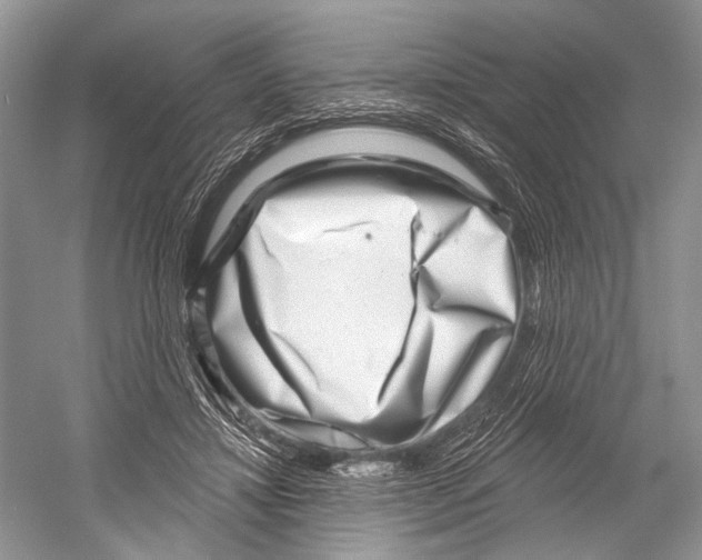 X0000052930452200508050834