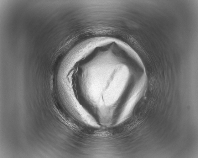 X0000052930454200508050834