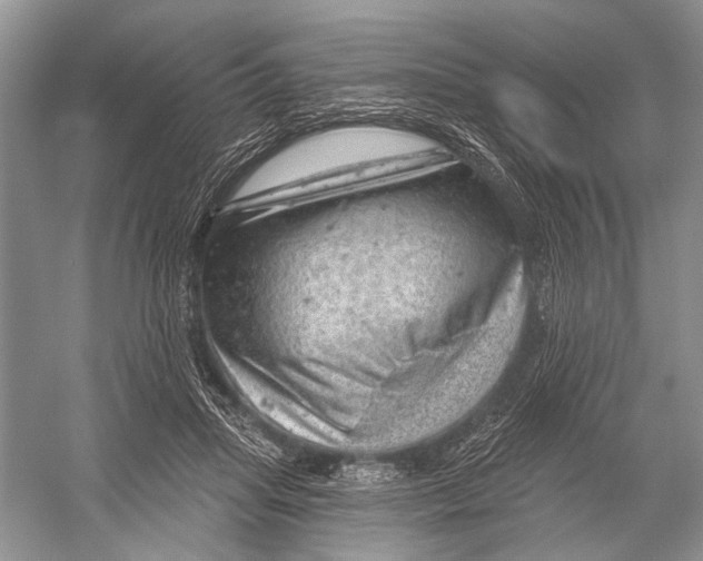 X0000052930455200508050834