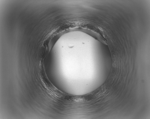 X0000052930456200508050834