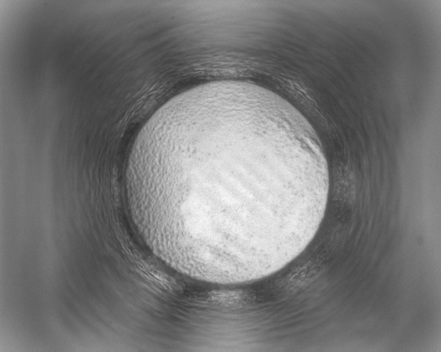 X0000052930457200508050834