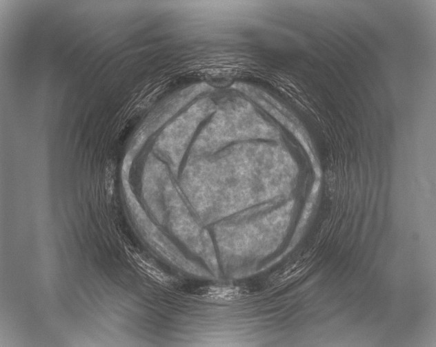 X0000052930458200508050834