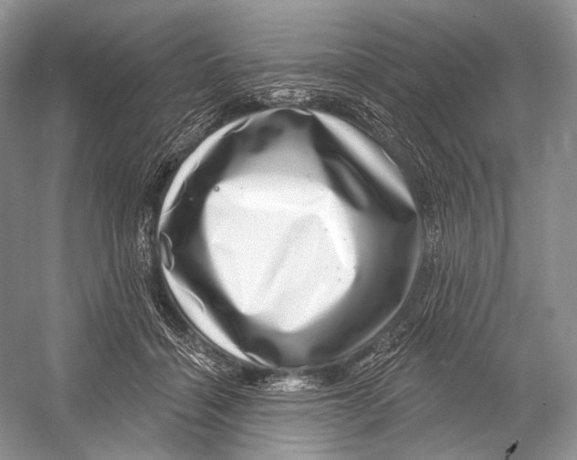 X0000052930460200508050834