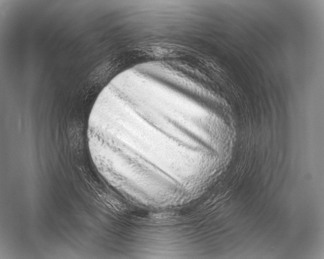 X0000052930461200508050834
