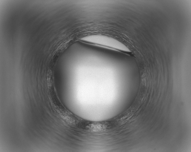 X0000052930464200508050834