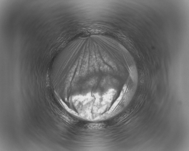 X0000052930465200508050834