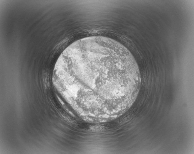 X0000052930470200508050834