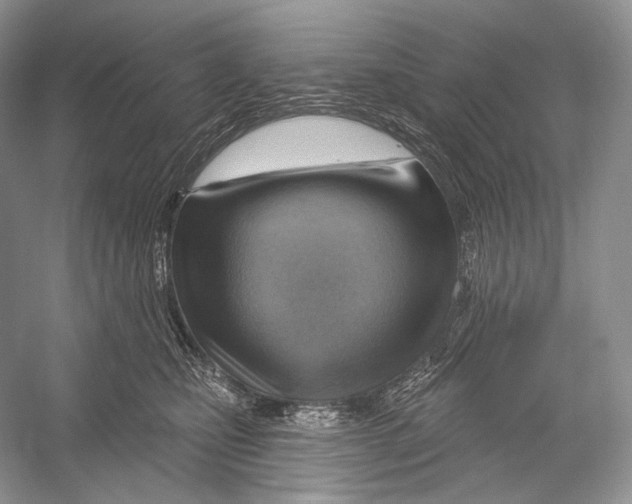X0000052930471200508050834