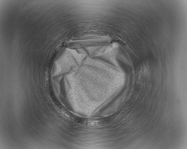 X0000052930472200508050834