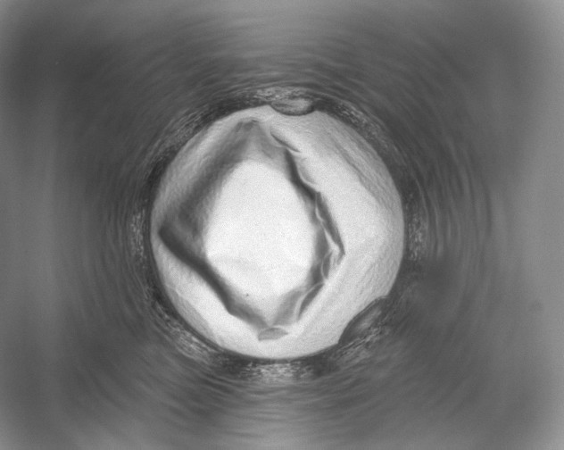 X0000052930473200508050834
