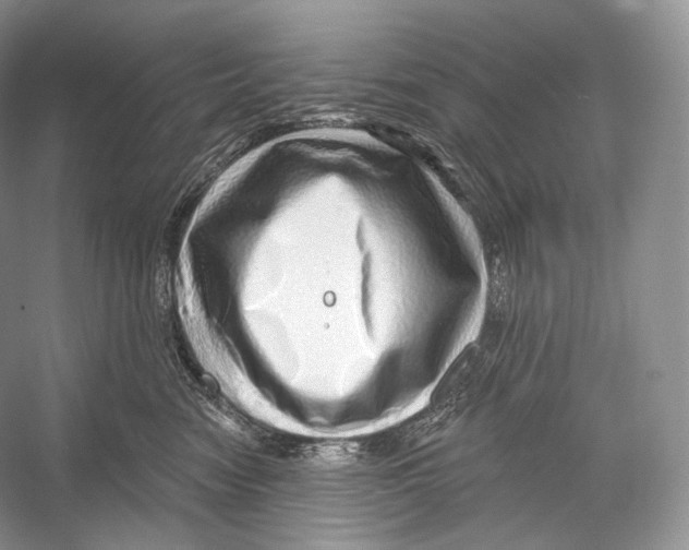 X0000052930474200508050834
