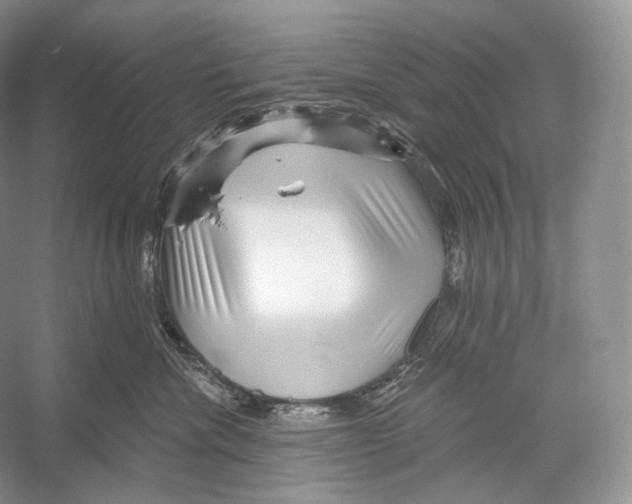 X0000052930476200508050834