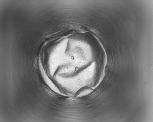 X0000052930477200508050834