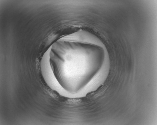 X0000052930480200508050834