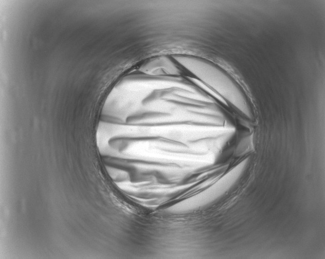 X0000052930481200508050833
