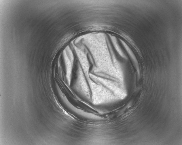 X0000052930485200508050833