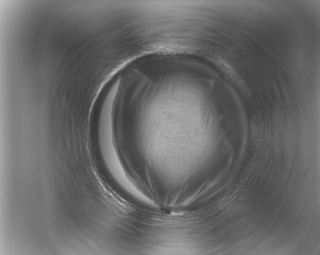 X0000052930488200508050833