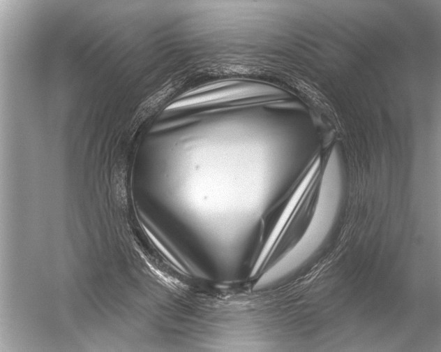 X0000052930489200508050833