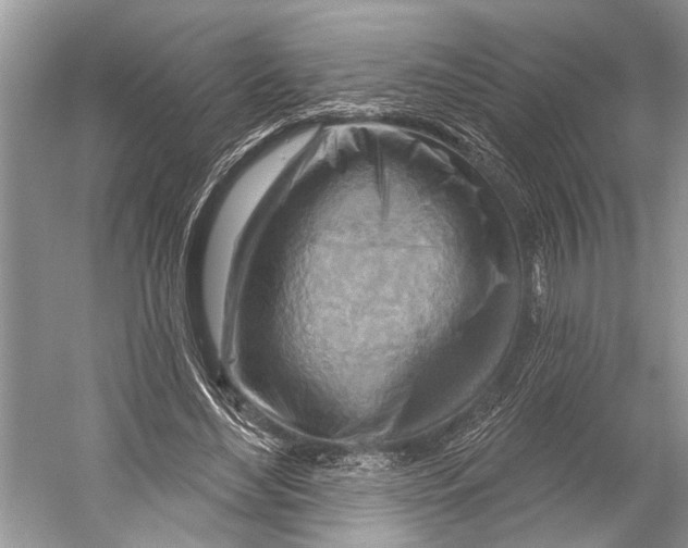 X0000052930492200508050833
