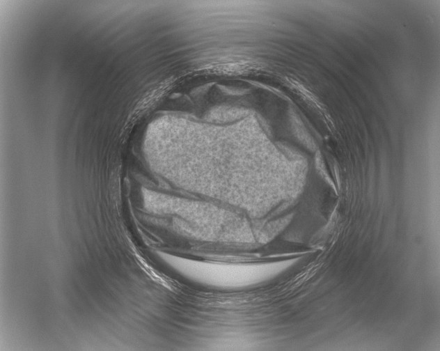 X0000052930493200508050833