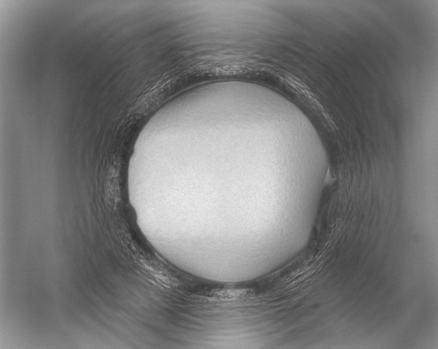 X0000052930497200508050833