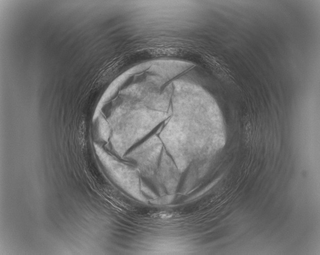 X0000052930498200508050833