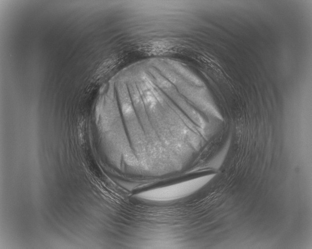 X0000052930503200508050833