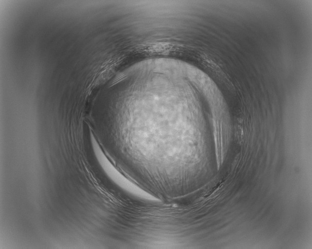 X0000052930504200508050833