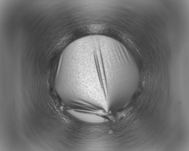 X0000052930505200508050833