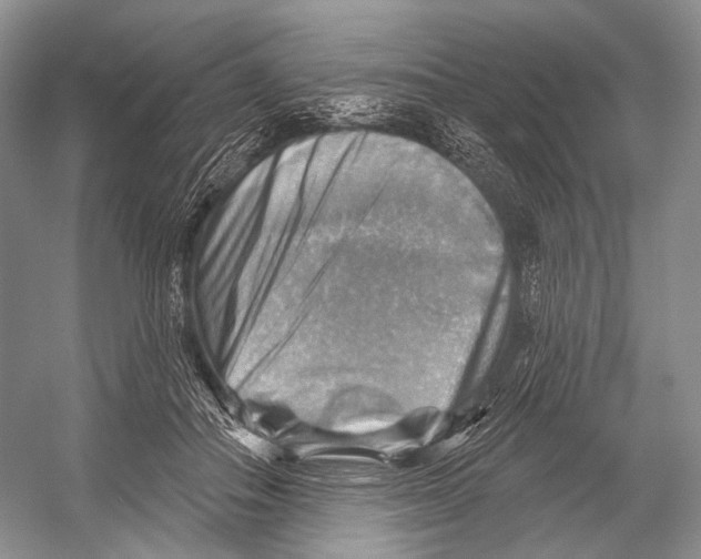 X0000052930506200508050833