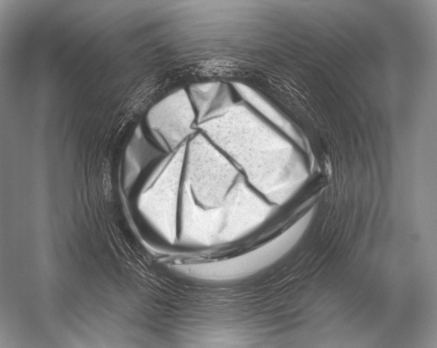 X0000052930508200508050833