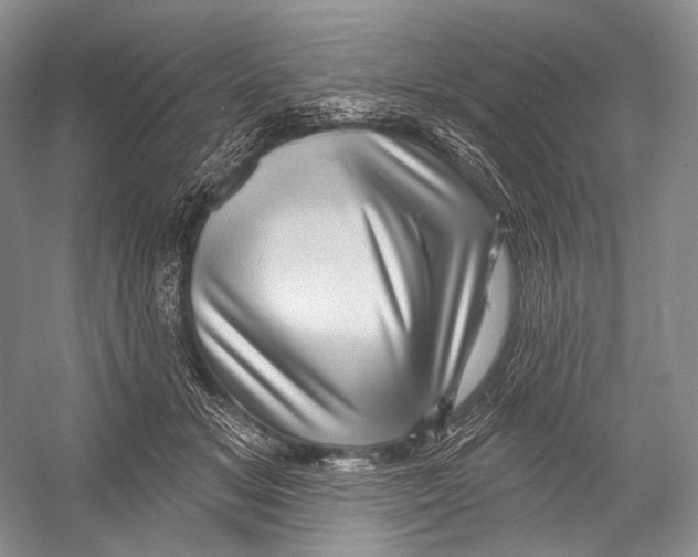 X0000052930509200508050833