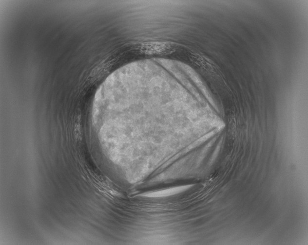 X0000052930510200508050833