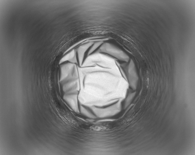X0000052930512200508050833