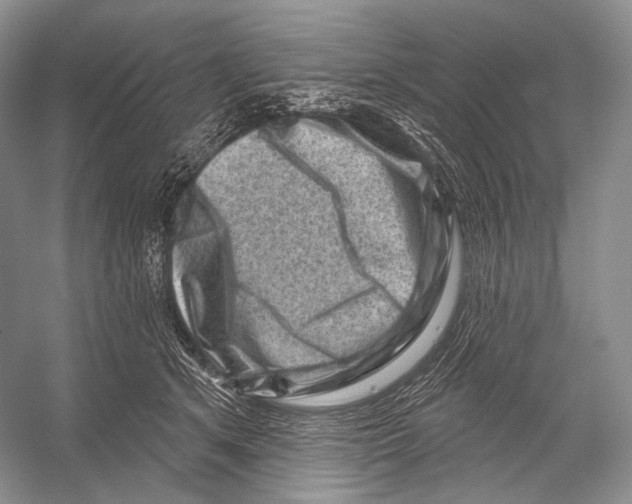 X0000052930513200508050833