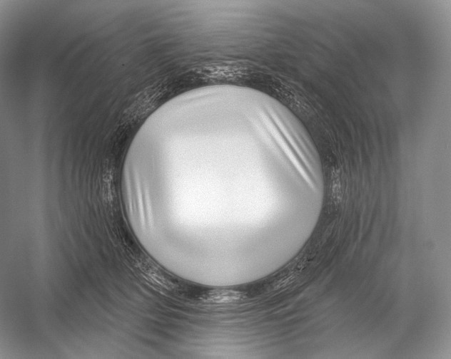 X0000052930514200508050833