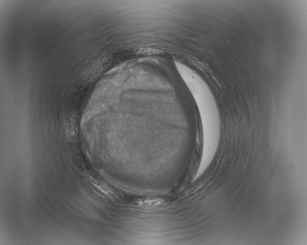 X0000052930517200508050833