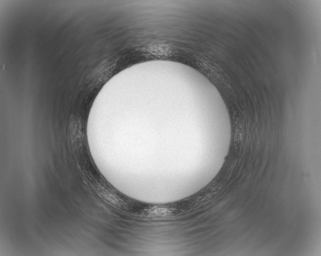 X0000052930518200508050833