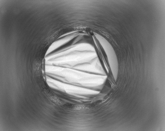 X0000052930521200508050833