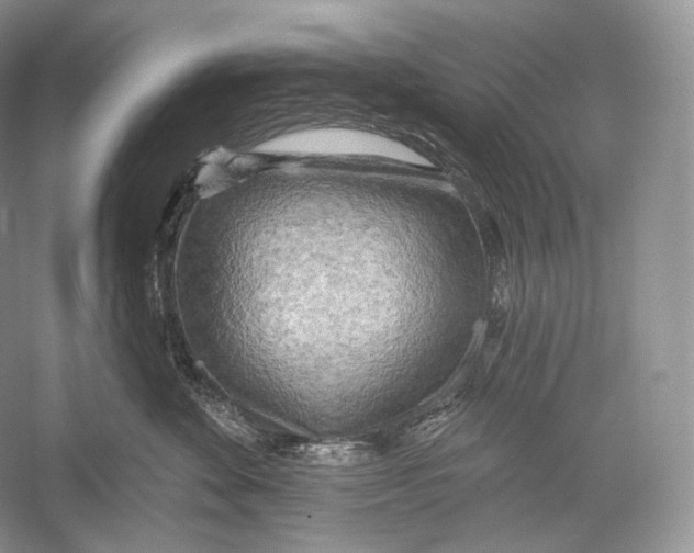 X0000052930524200508050833