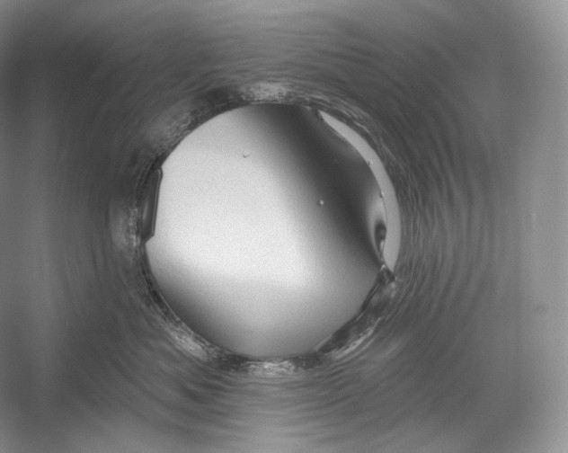 X0000052930525200508050833